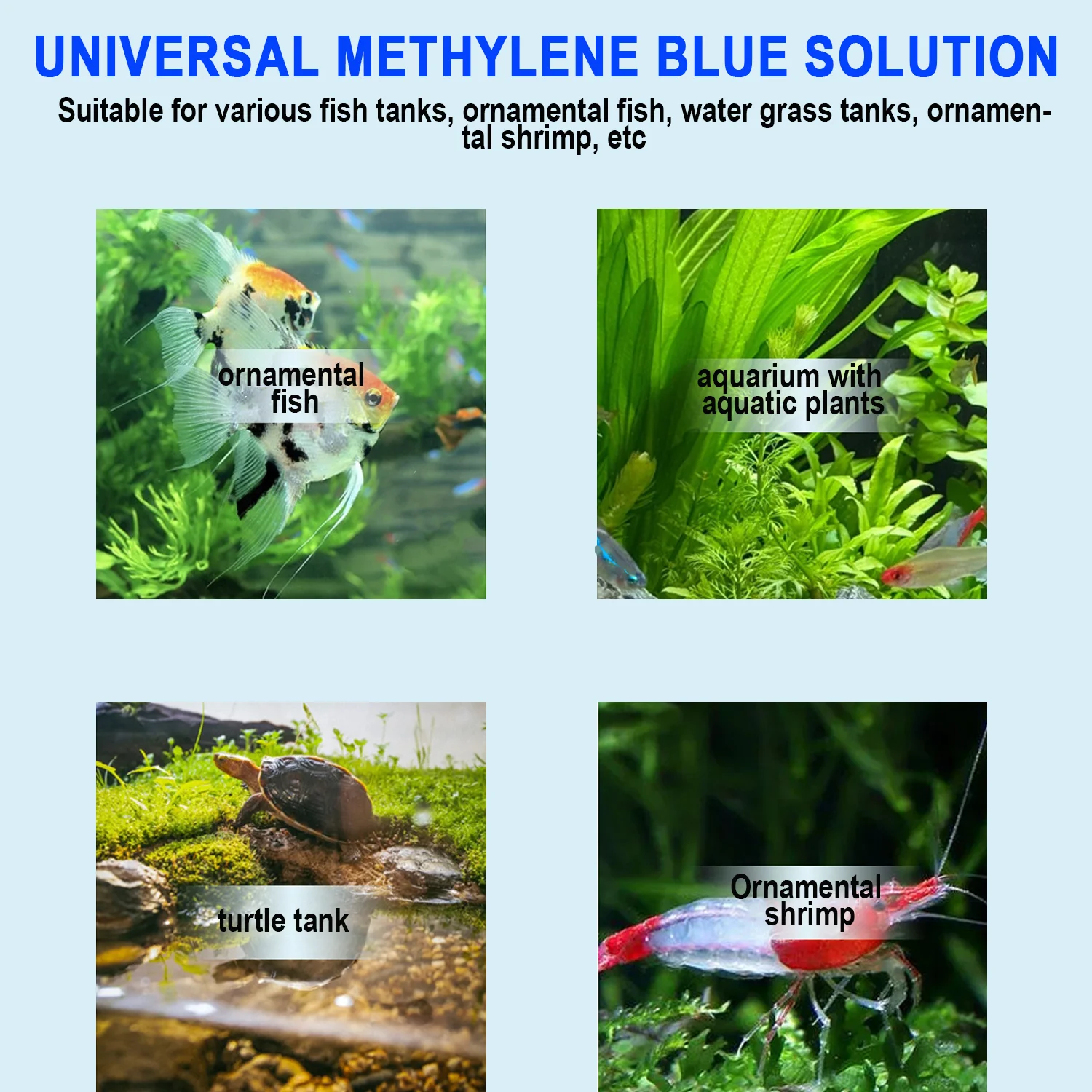 Azul de Metileno para Tratamen - Marine Aquarium Bacteria avaliação e preço