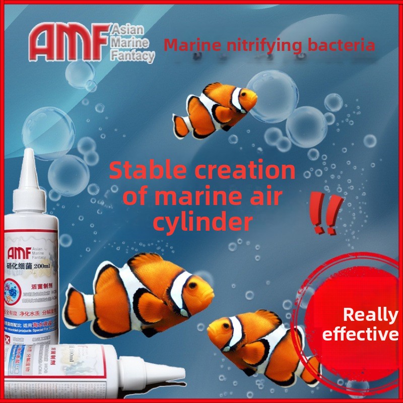 Suplemento de aquário de bacté - Marine Aquarium Bacteria avaliação e preço