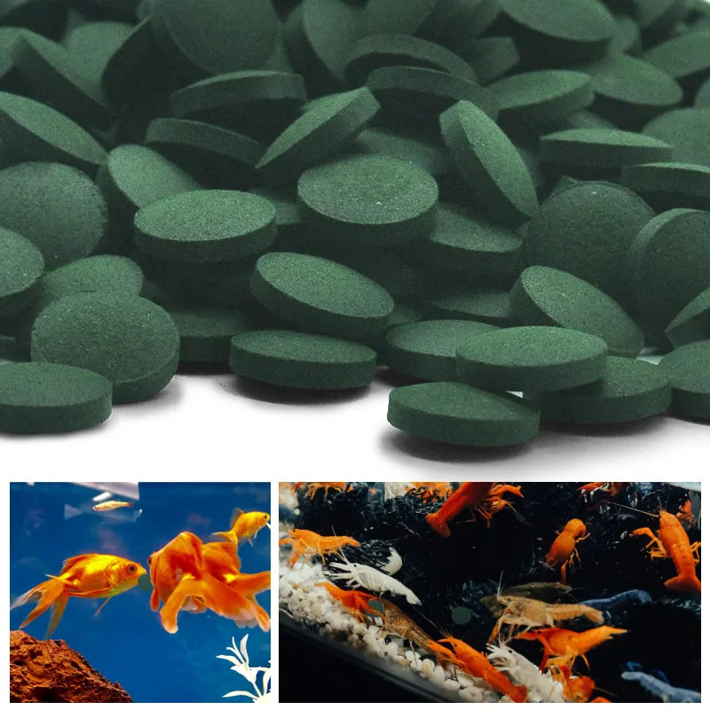50-300 pçs comprimidos de spir - Marine Aquarium Bacteria avaliação e preço