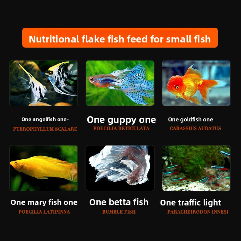 Comida para peixes em flocos d - Tetra Food Betta Flakes avaliação e preço